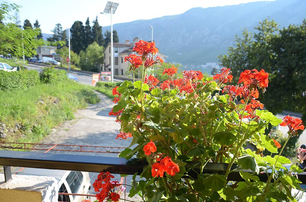Apartment Luka Kotor Eksteriør bilde